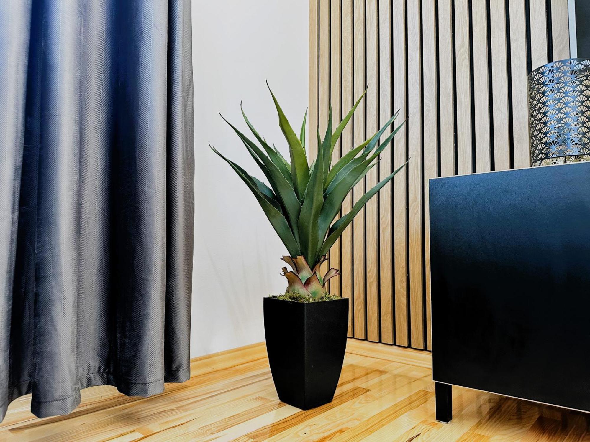 Modern And Spacious Apartment Helena Near The Beach Privlaka  Zewnętrze zdjęcie